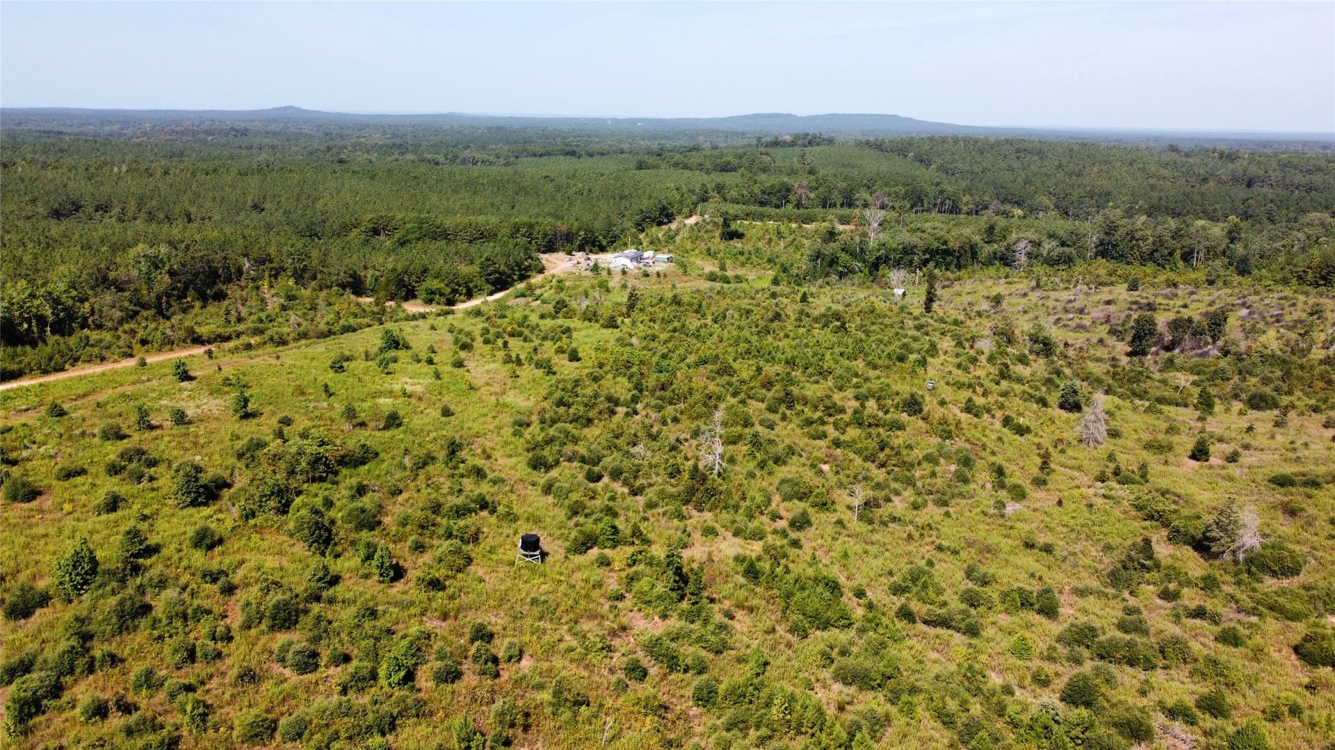 77.15 acres in Nacogdoches County - photo 7