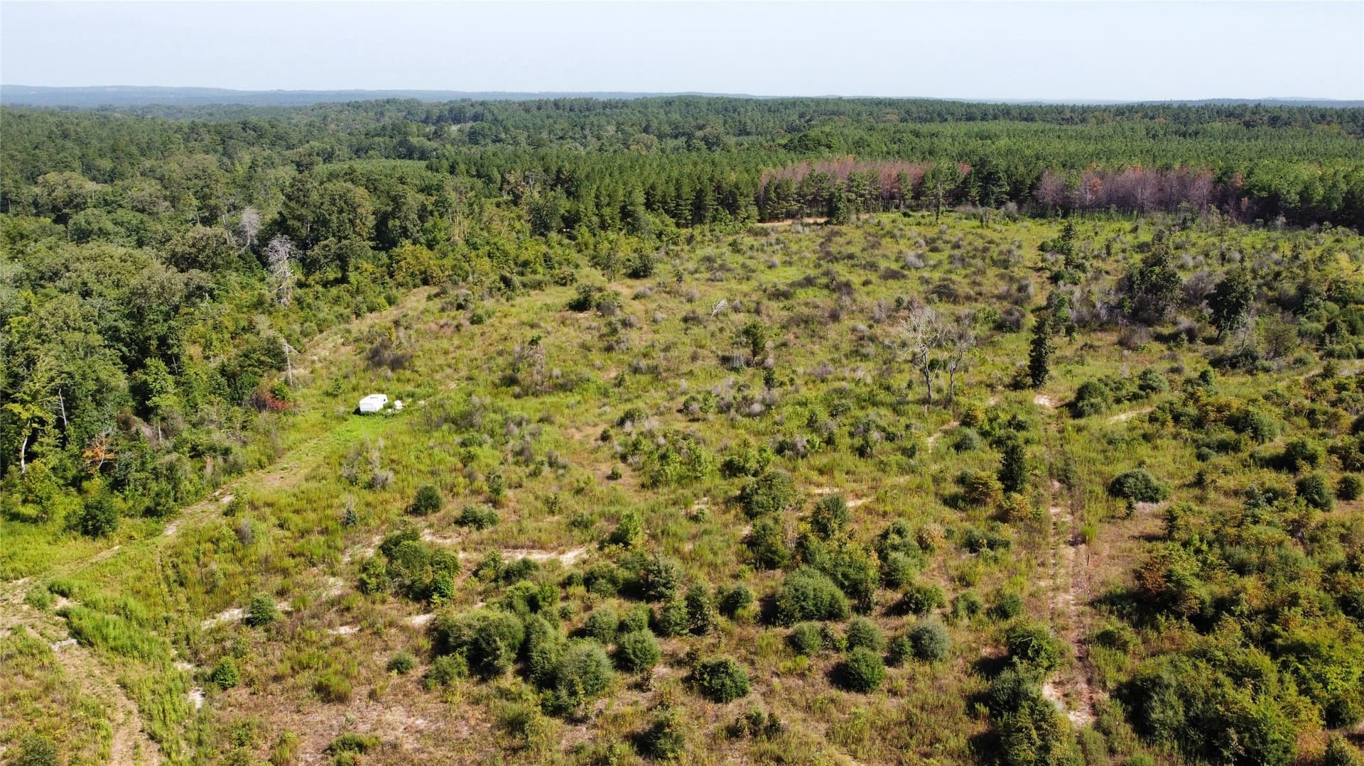 77.15 acres in Nacogdoches County - photo 16