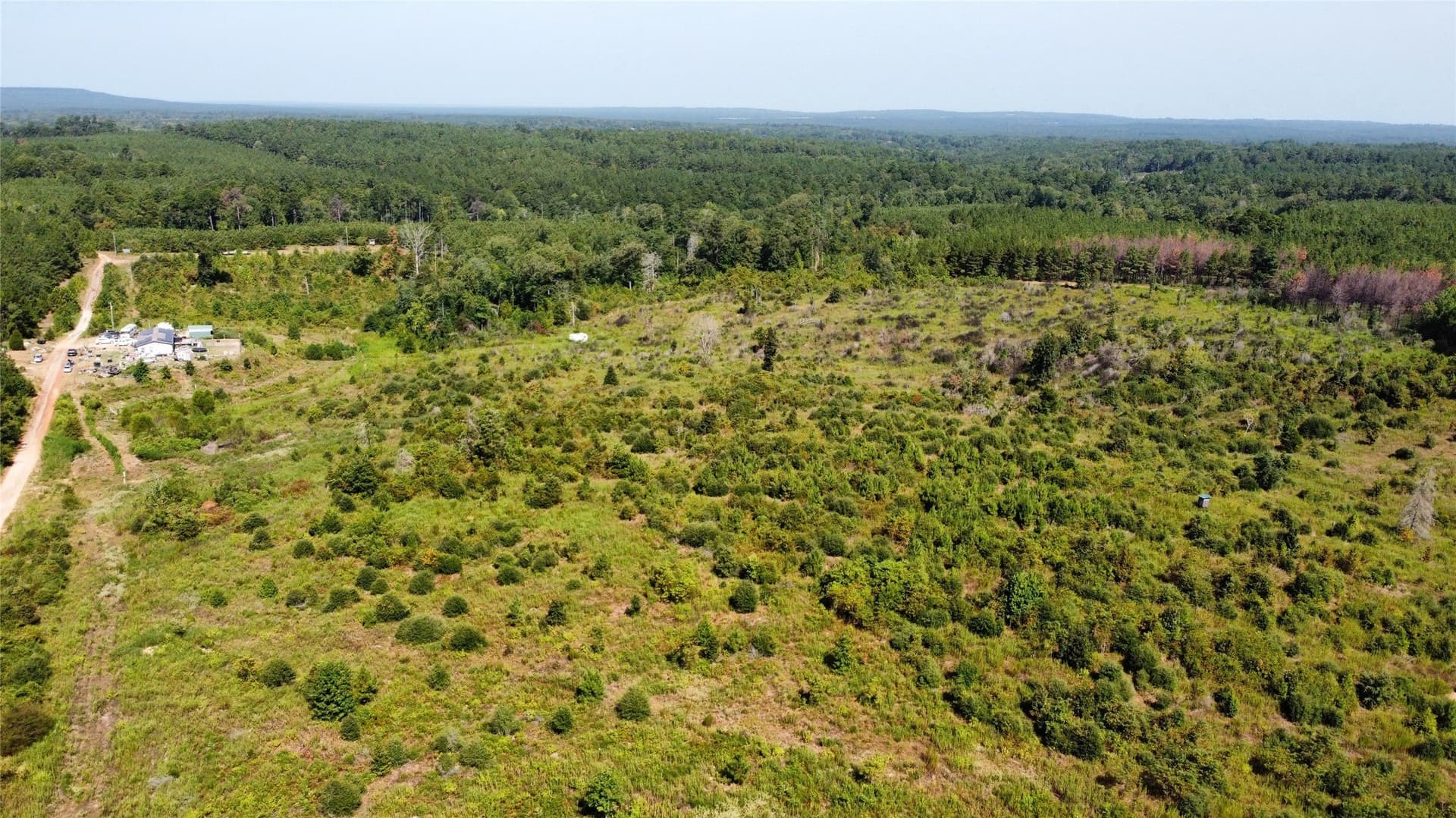 77.15 acres in Nacogdoches County - photo 19