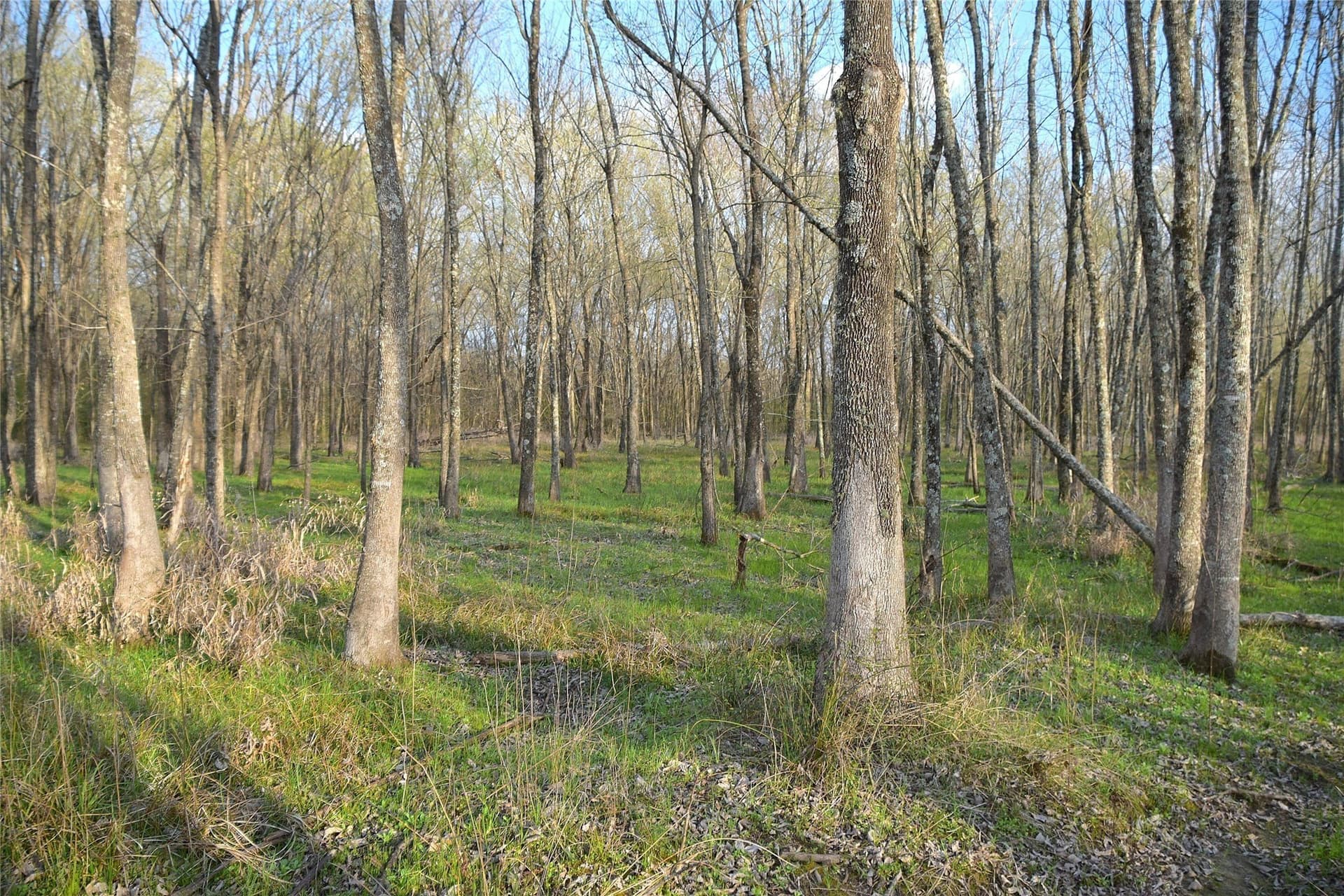 2.96 acres in Anderson County - photo 5