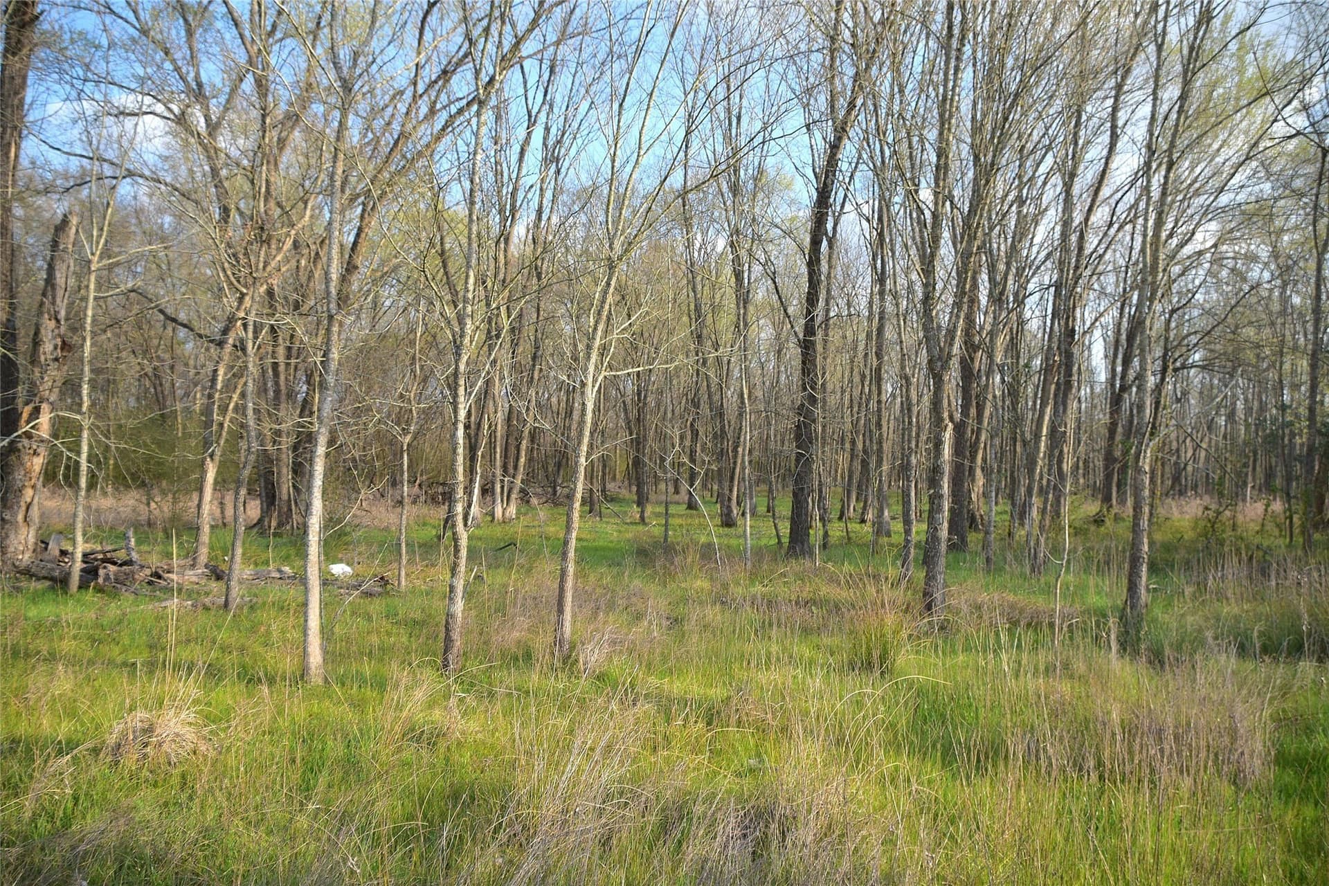 2.96 acres in Anderson County - photo 4