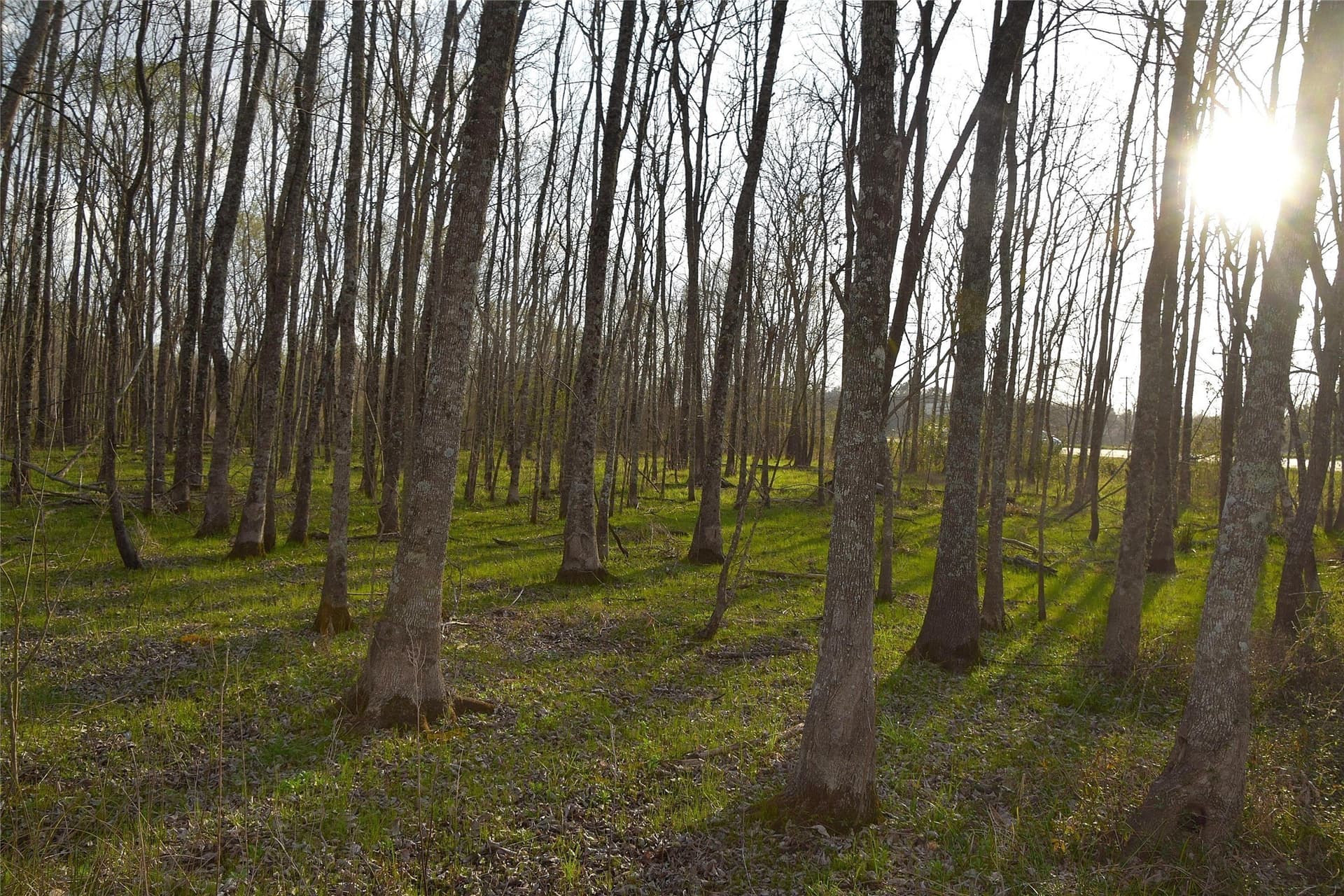 2.96 acres in Anderson County - photo 6