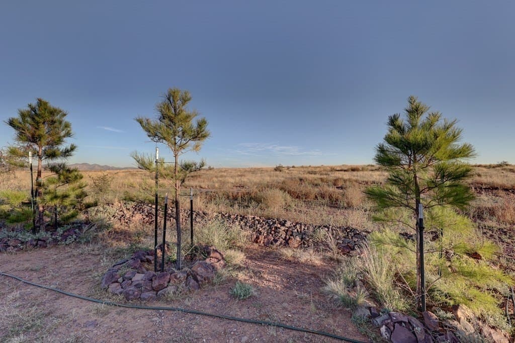 12.07 acres in Brewster County - photo 55