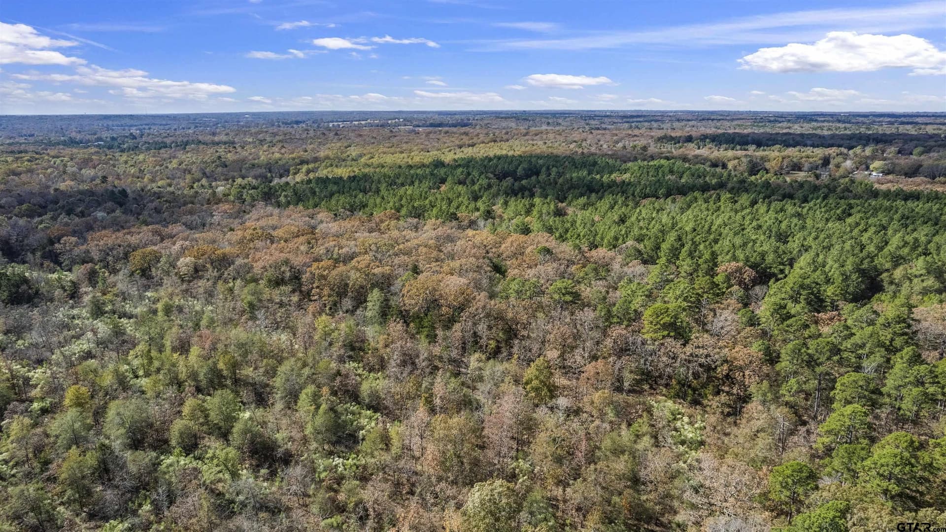 243 acres in Franklin County - photo 8