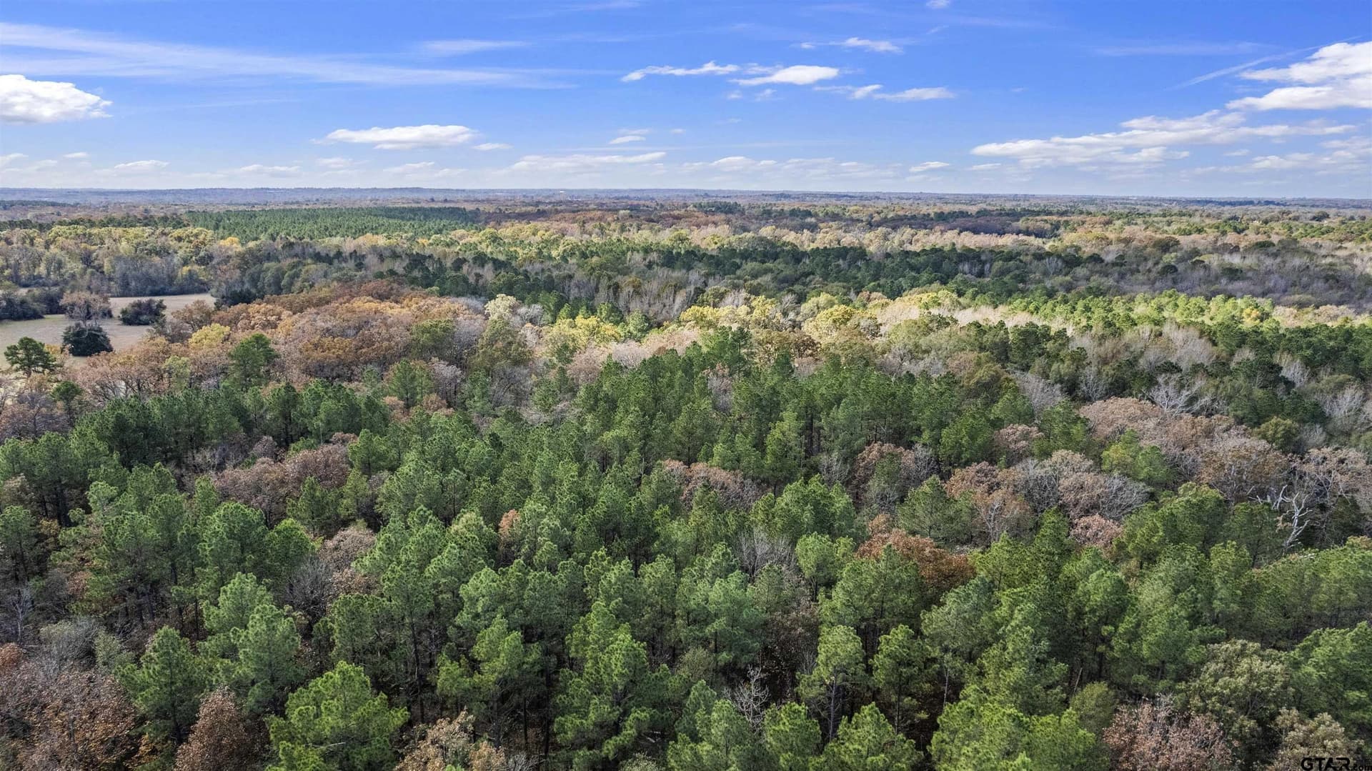 243 acres in Franklin County - photo 3