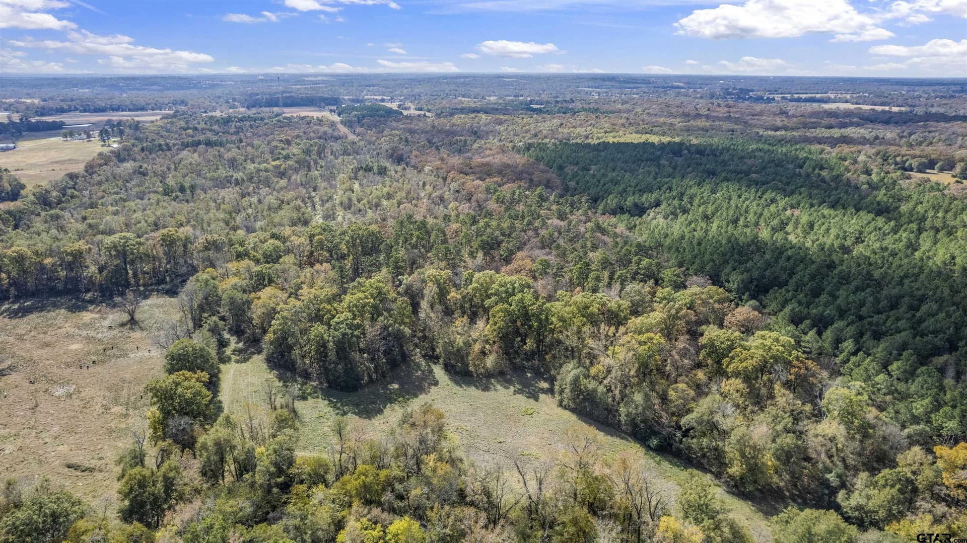 243 acres in Franklin County - photo 6