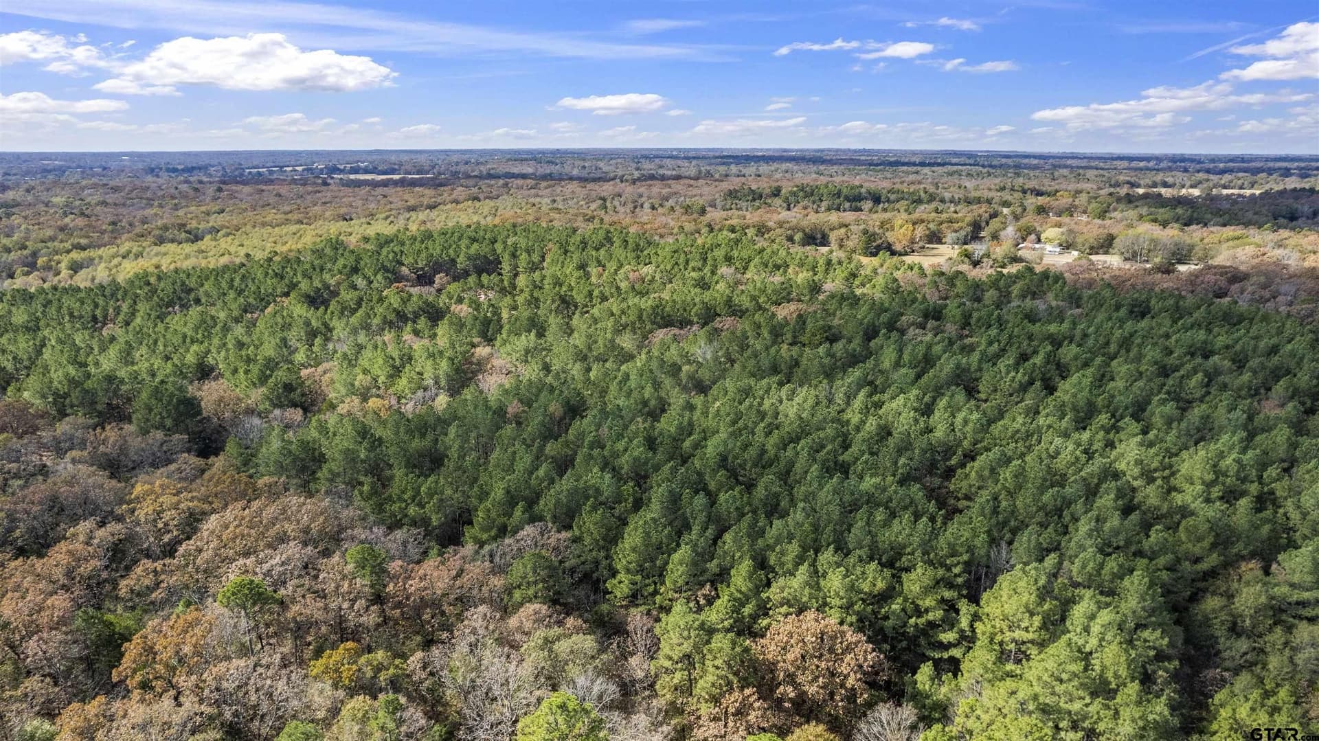 243 acres in Franklin County - photo 9