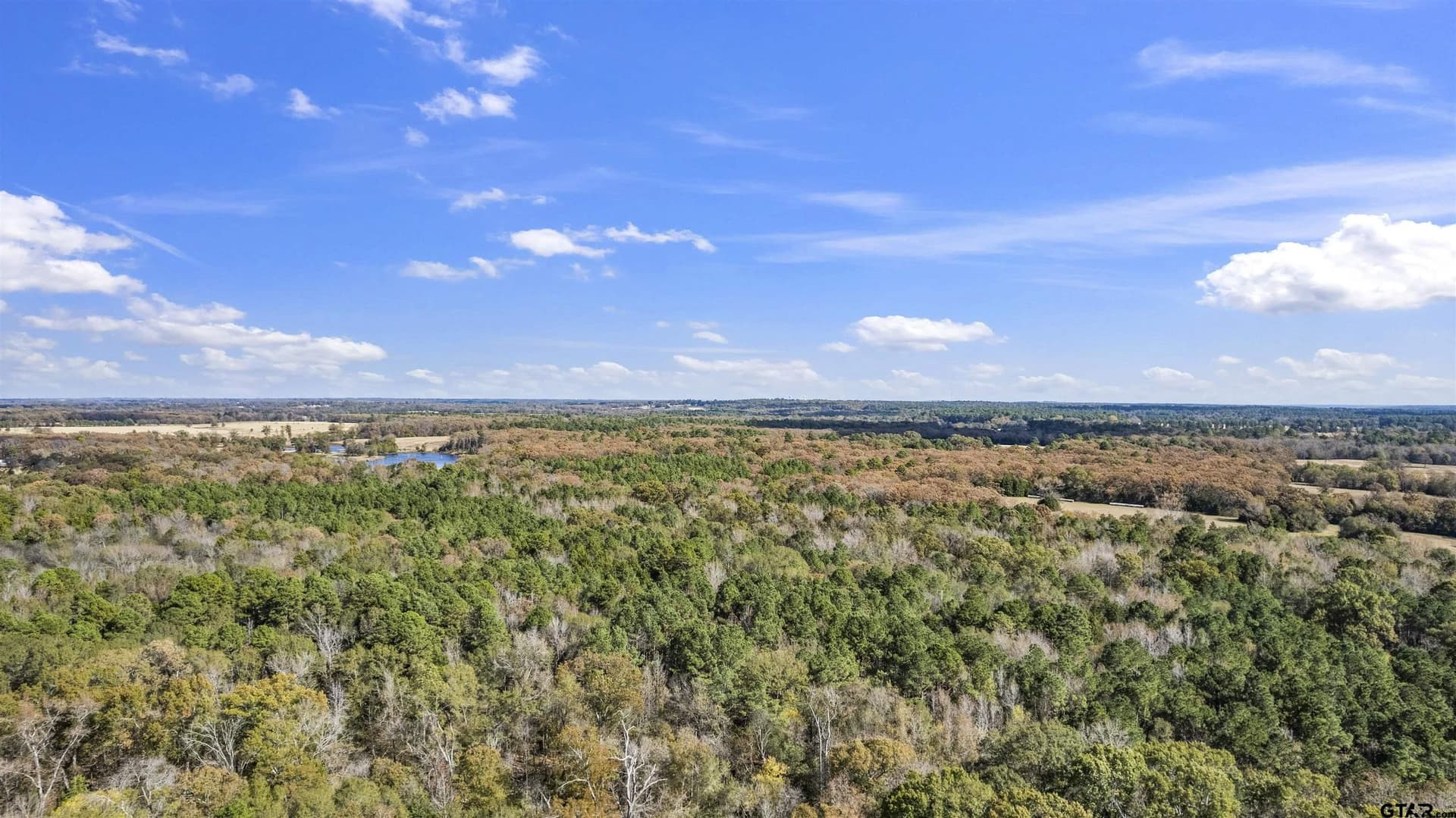 243 acres in Franklin County - photo 12