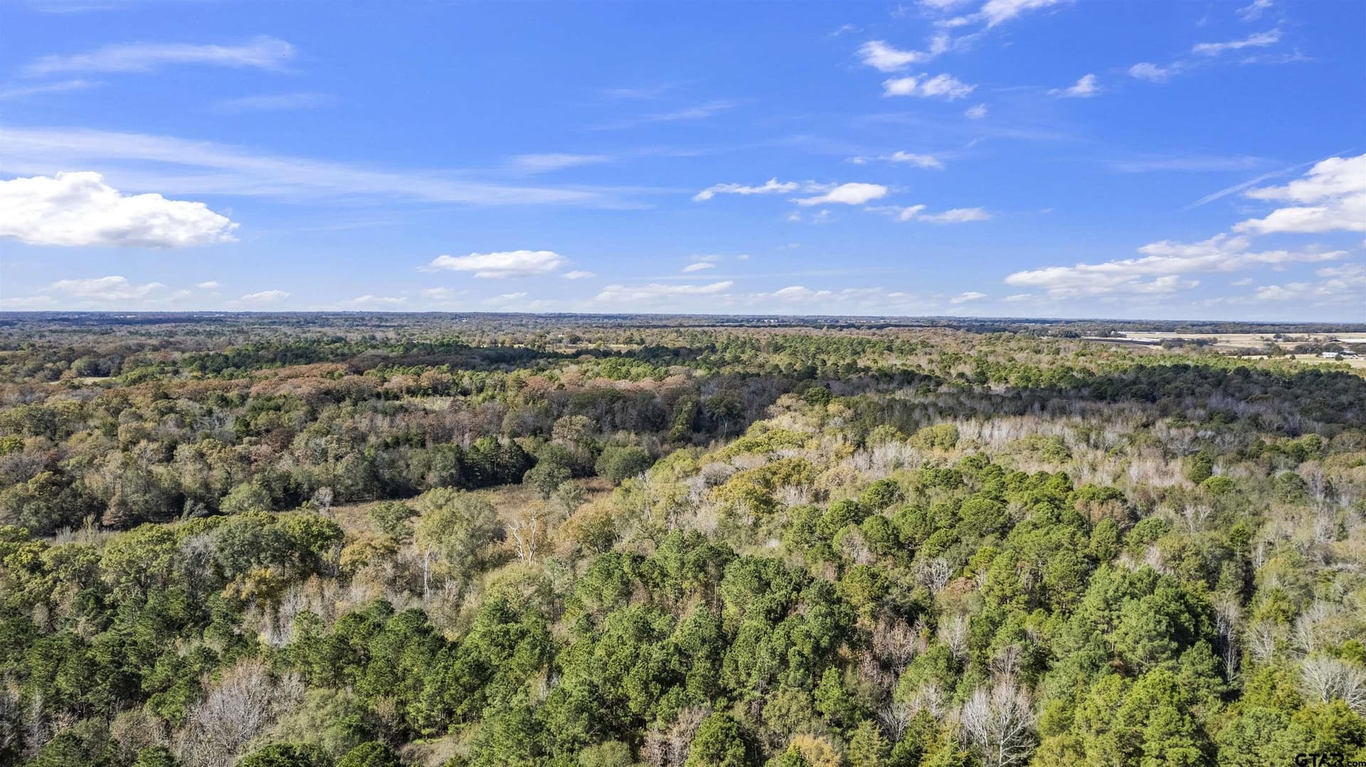 243 acres in Franklin County - photo 11