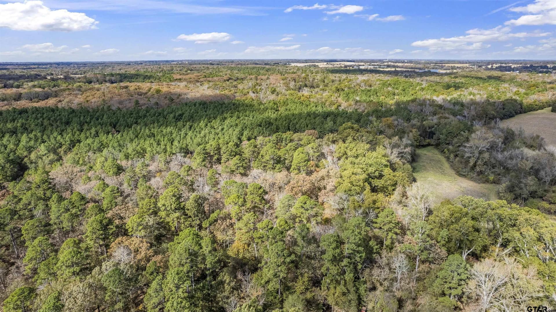 243 acres in Franklin County - photo 7
