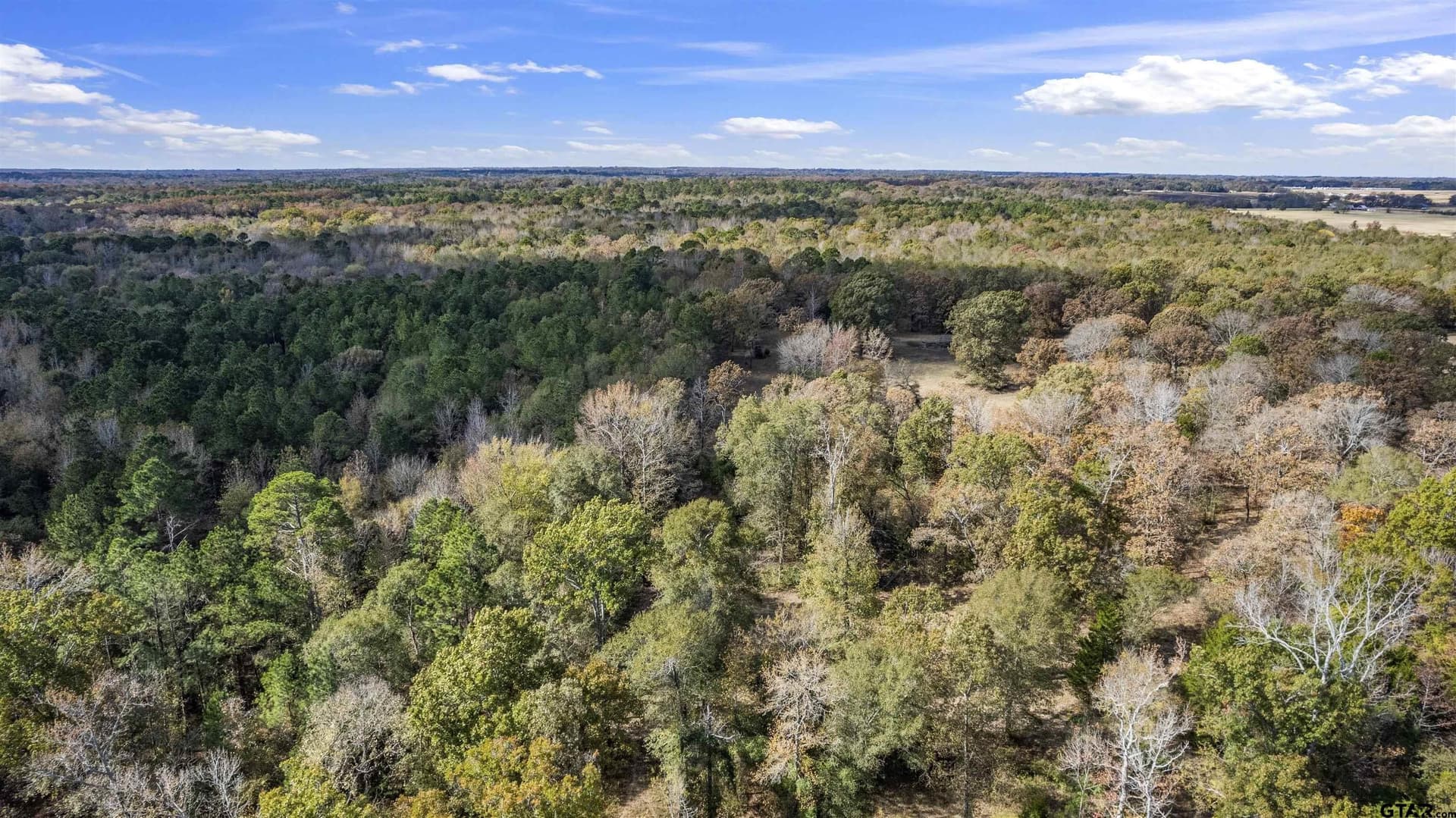 243 acres in Franklin County - photo 2