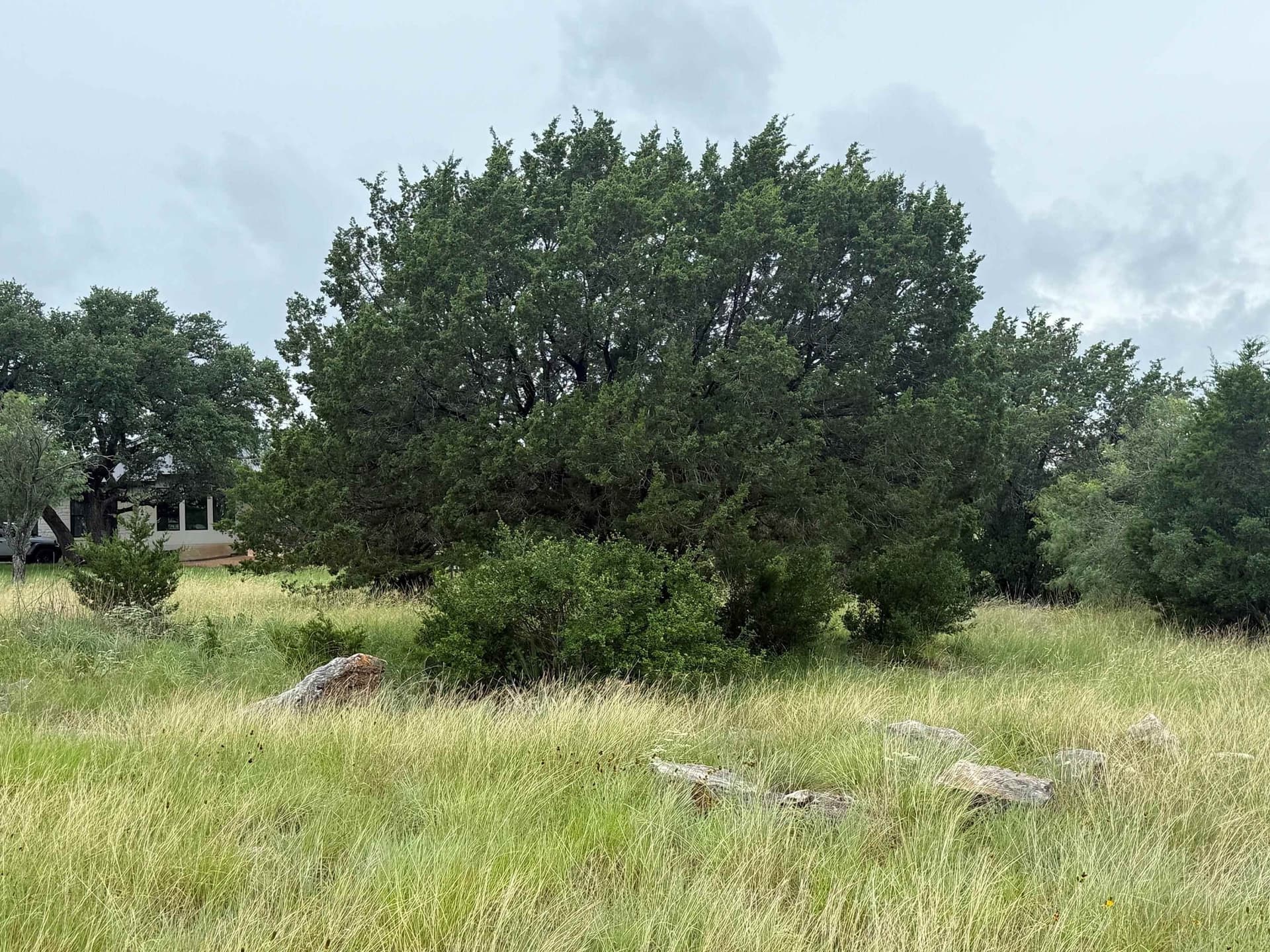 0.26 acres in Llano County gallery image 4