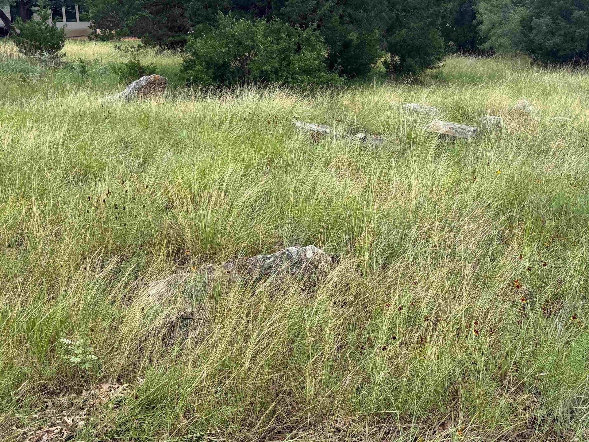 0.26 acres in Llano County featured view