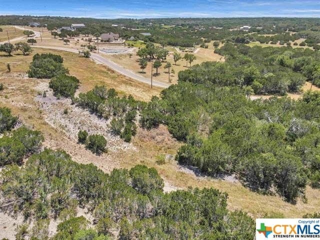 5 acres in Burnet County gallery image 3