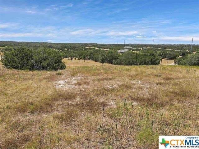 5 acres in Burnet County gallery image 4