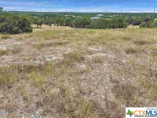 5 acres in Burnet County - photo 6