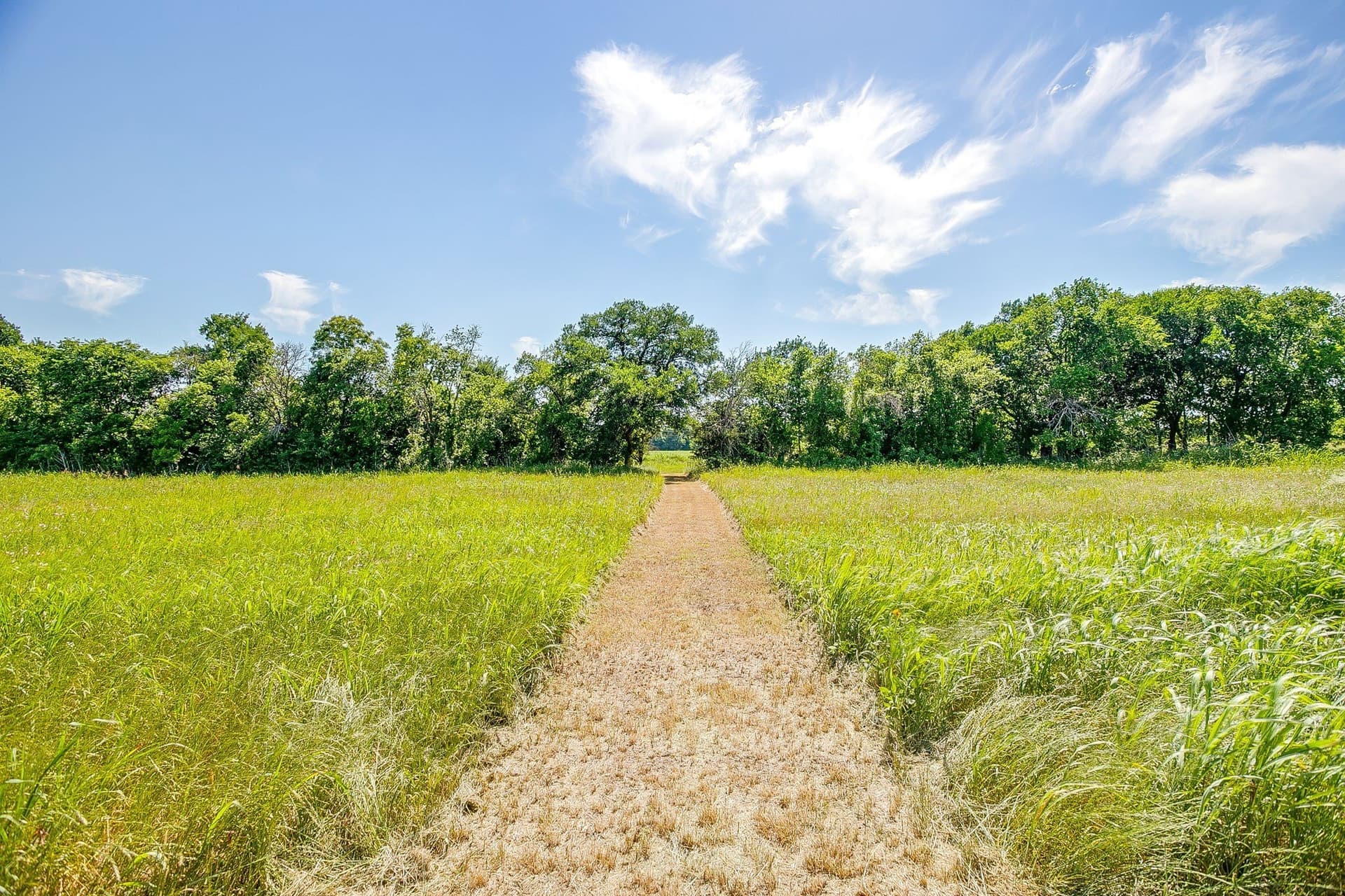 19.24 acres in Johnson County - photo 32