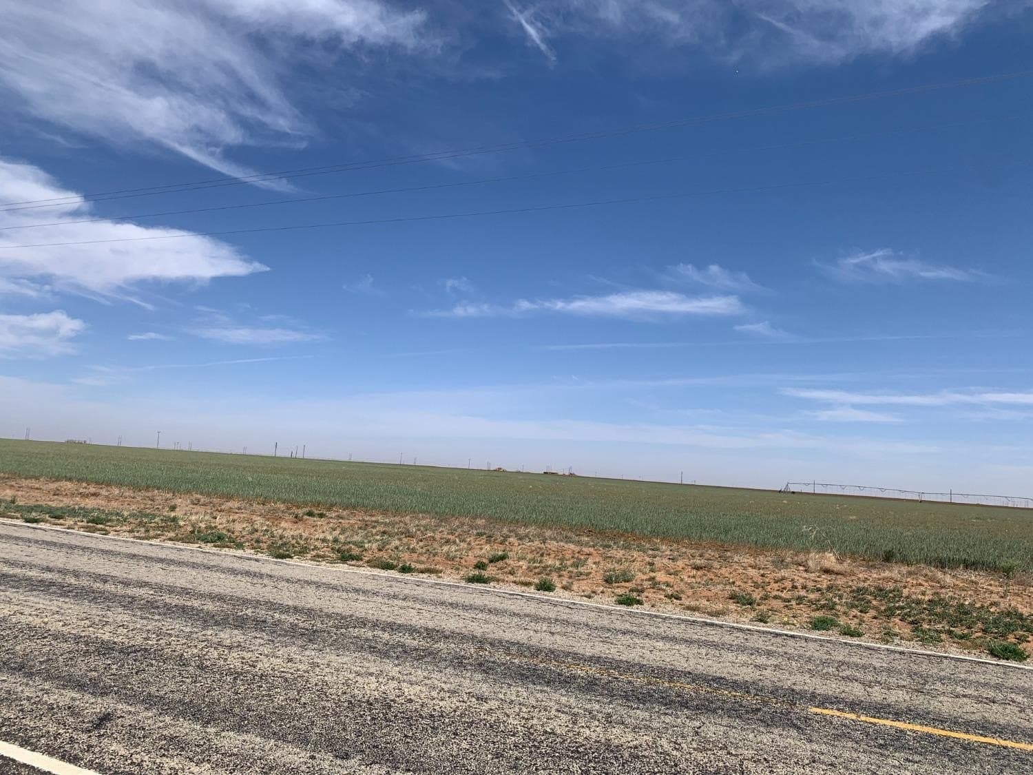 216.96 acres in Hockley County gallery image 4