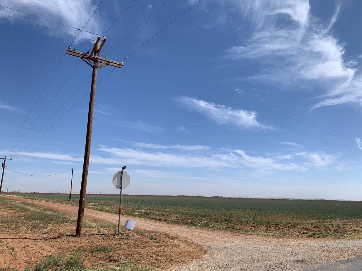 216.96 acres in Hockley County gallery image 2