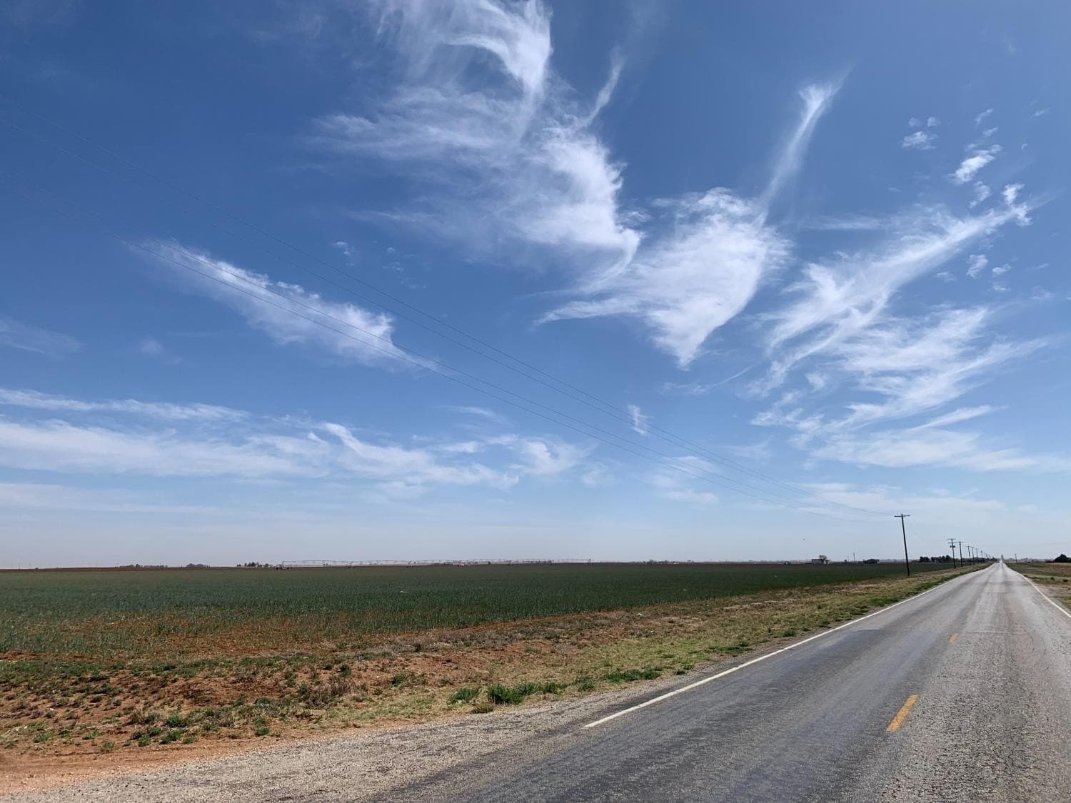 216.96 acres in Hockley County