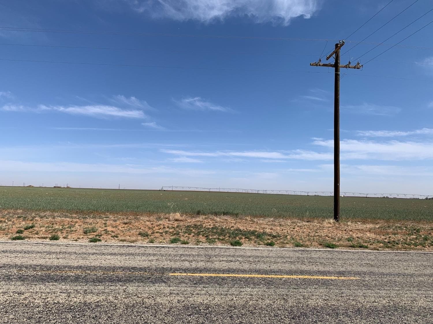 216.96 acres in Hockley County gallery image 3