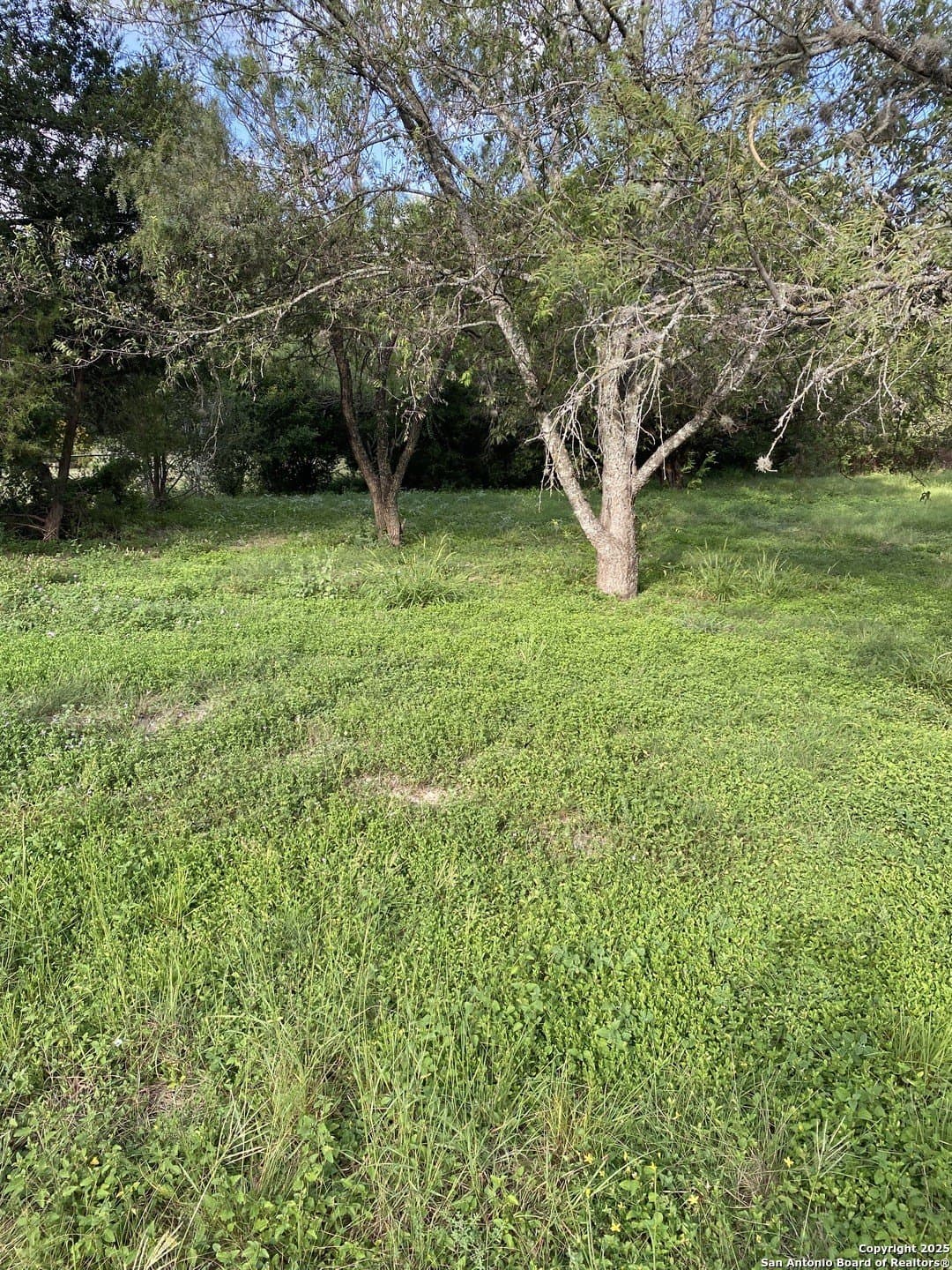 0.45 acres in Bexar County gallery image 2