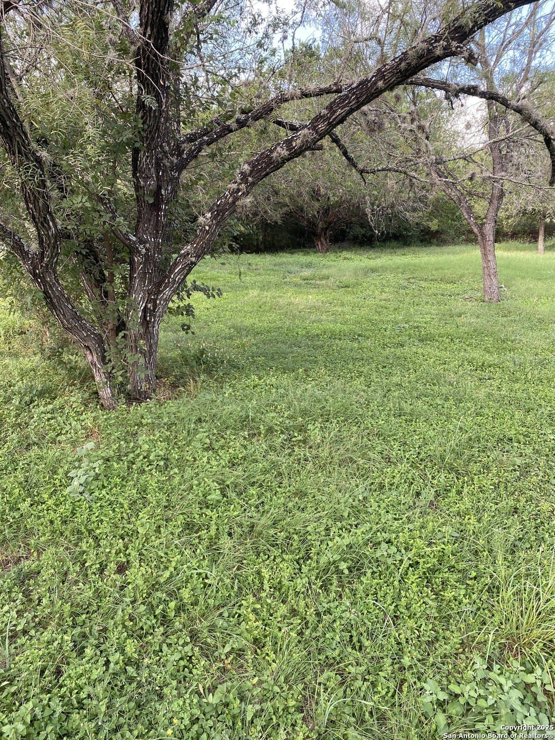 0.45 acres in Bexar County gallery image 4