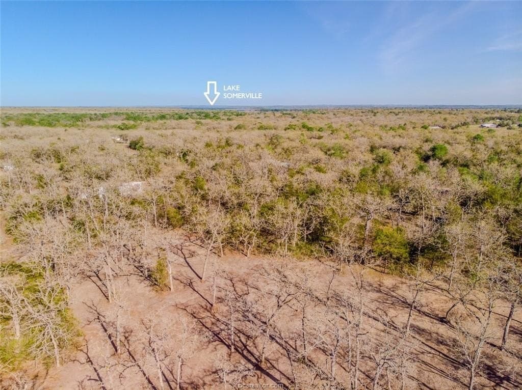 0.55 acres in Burleson County gallery image 2