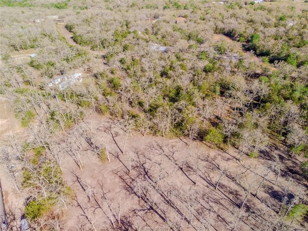 0.55 acres in Burleson County gallery image 4