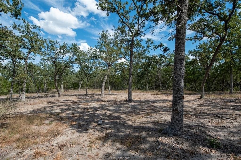 0.55 acres in Burleson County - photo 31