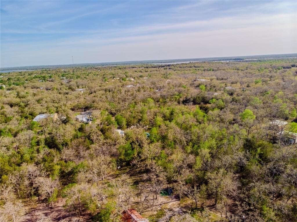 0.55 acres in Burleson County - photo 6