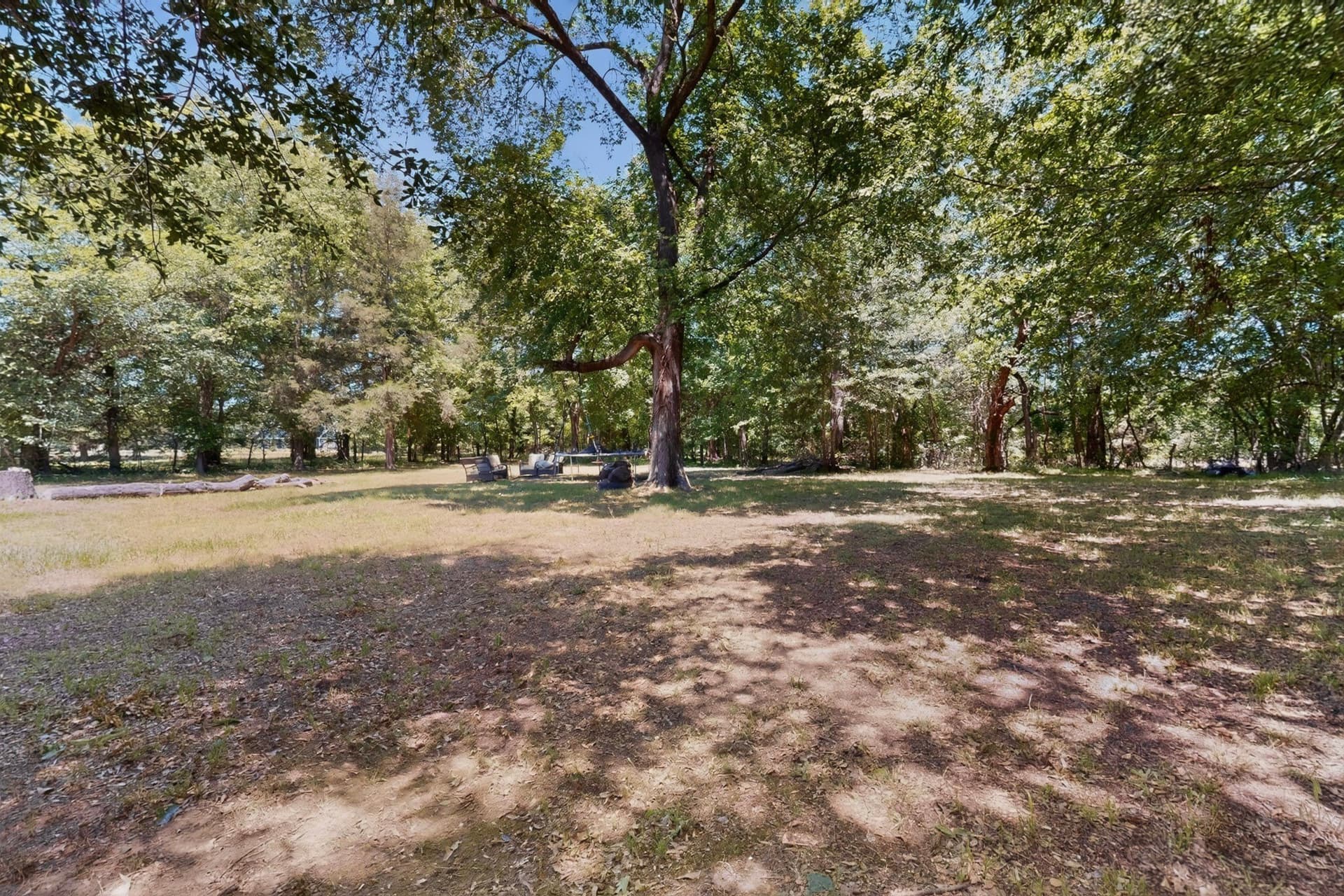 10.8 acres in Rains County - photo 5