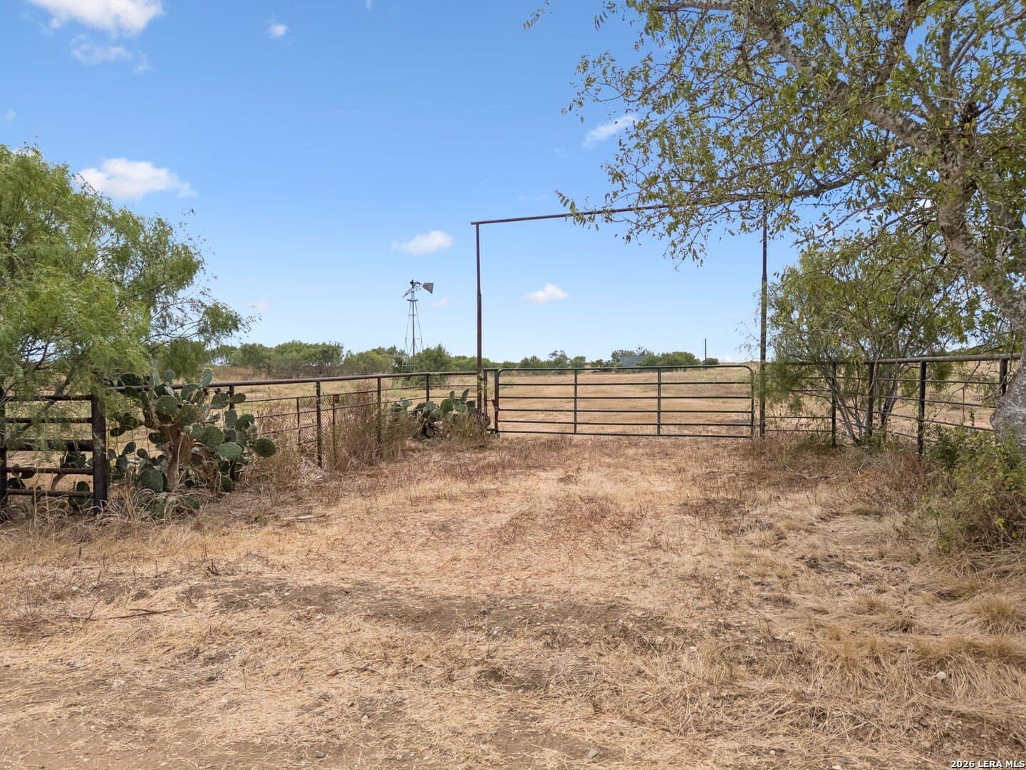 123 acres in Wilson County