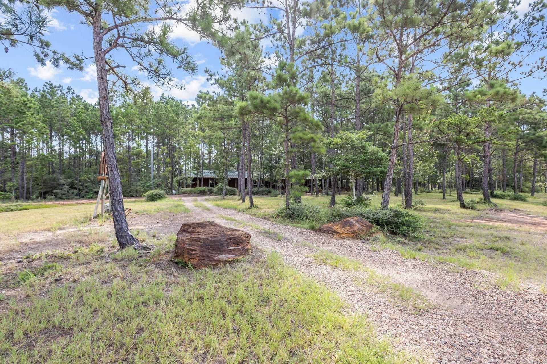 69.9 acres in Texas County gallery image 4