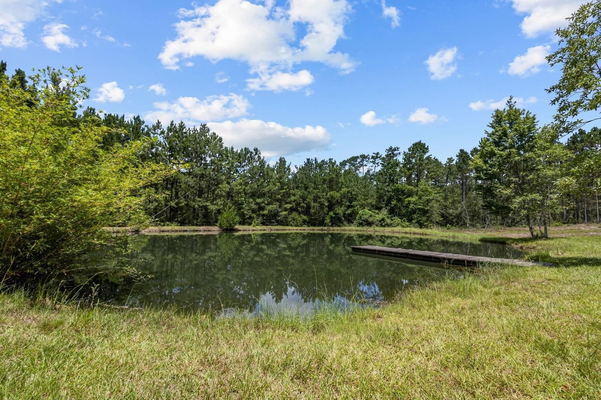 69.9 acres in Texas County - photo 19