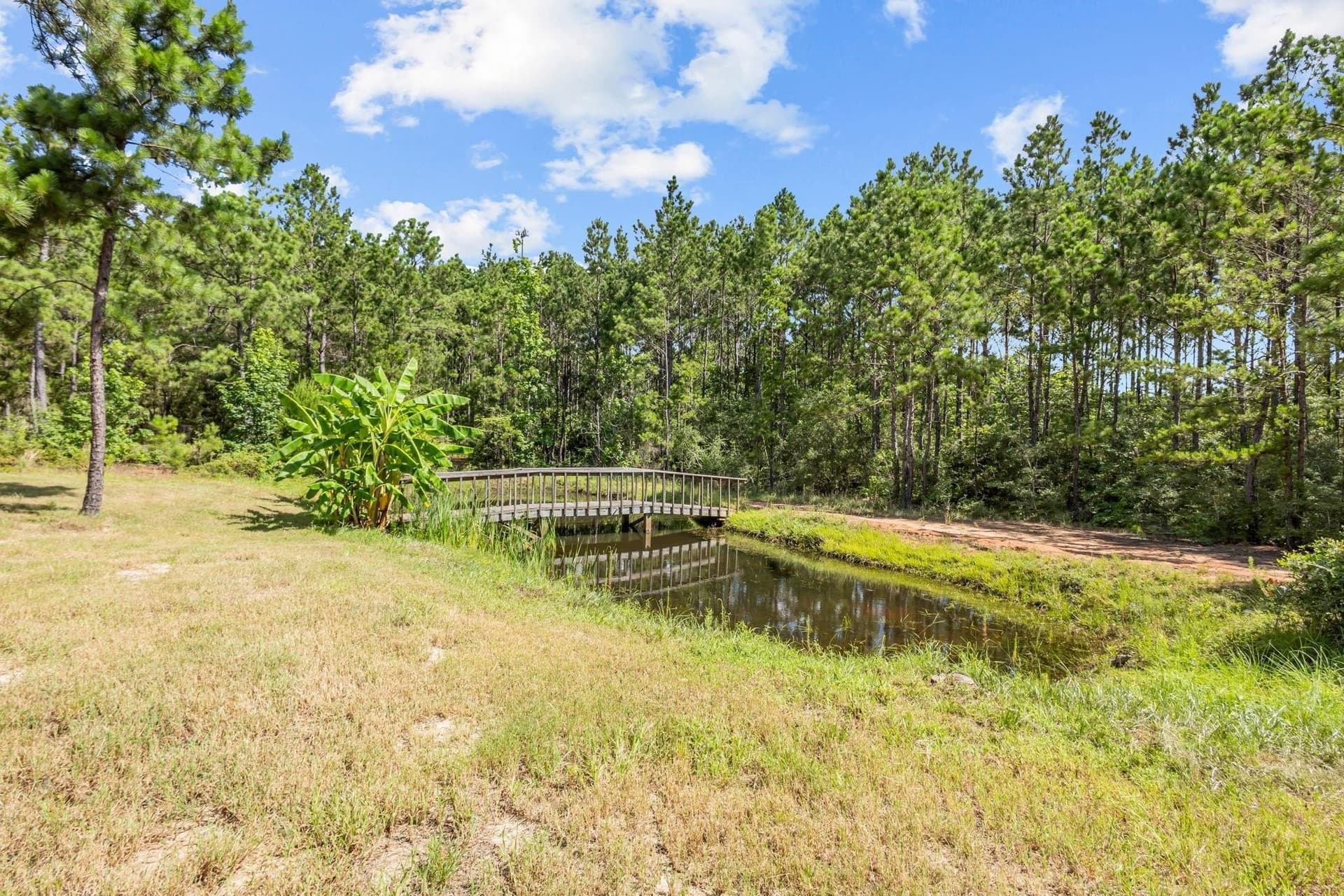 69.9 acres in Texas County - photo 36