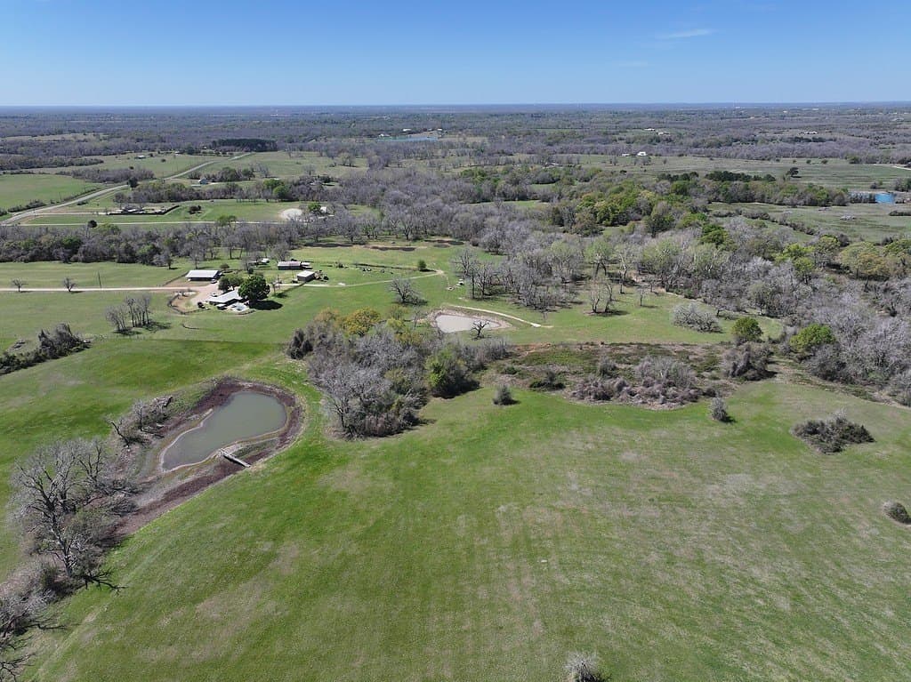 27.8 acres in Grimes County gallery image 2