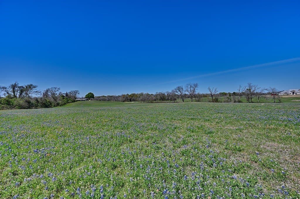 27.8 acres in Grimes County featured view