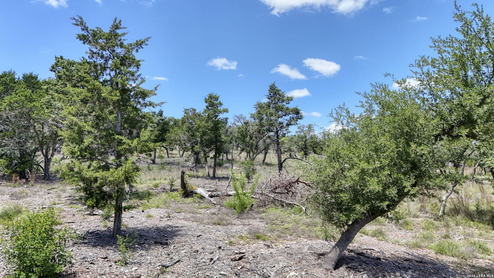 7.01 acres in Kerr County - photo 33