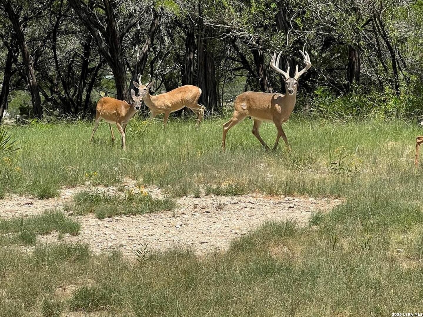 3.32 acres in Bandera County - photo 15