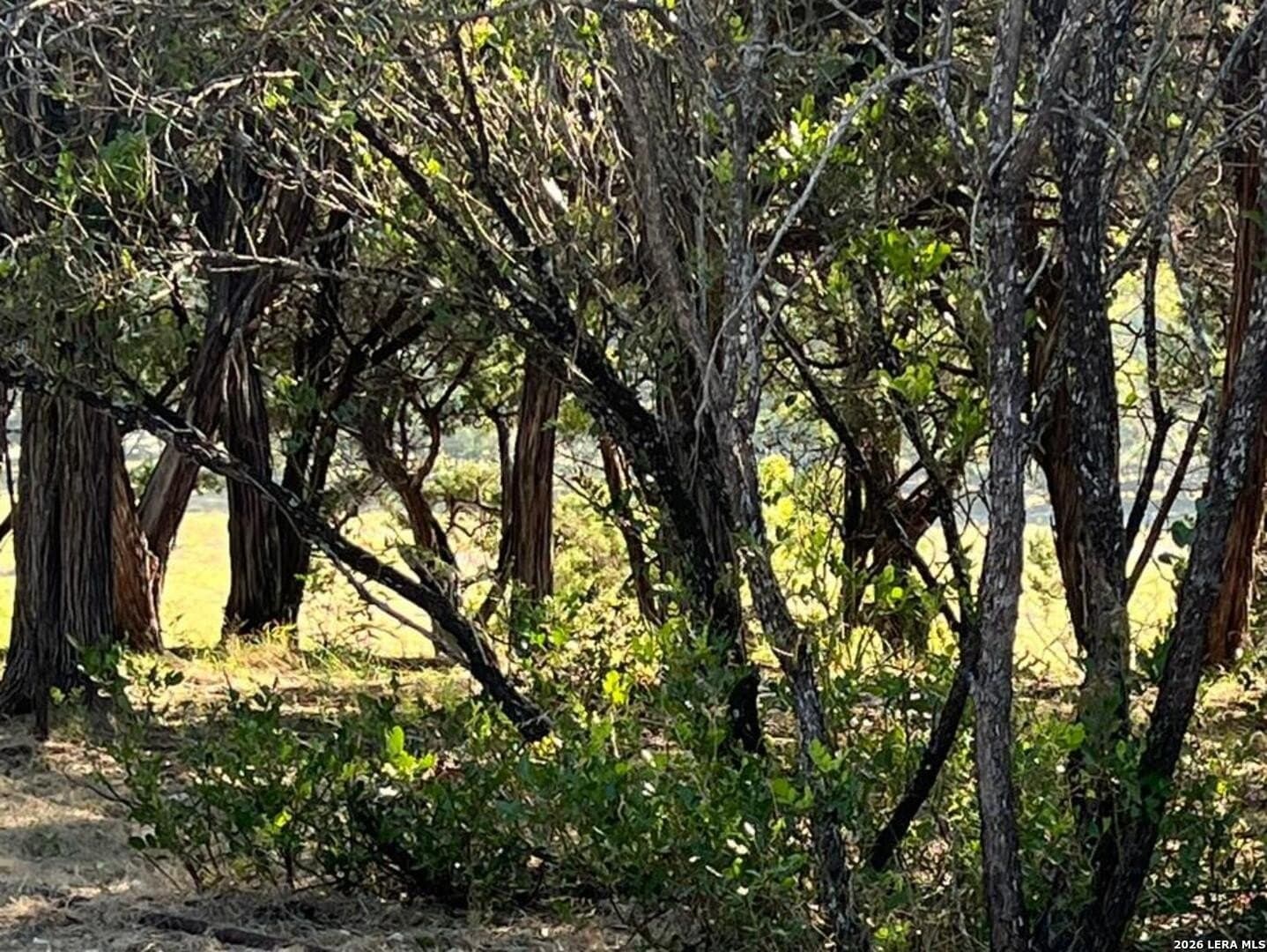 3.32 acres in Bandera County - photo 27