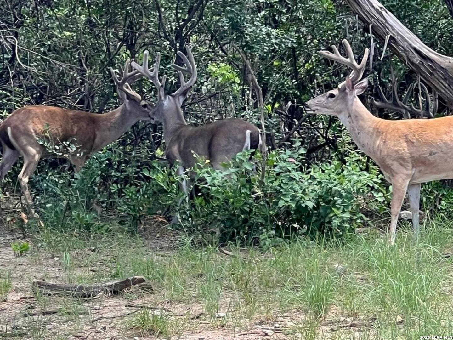 3.32 acres in Bandera County - photo 19