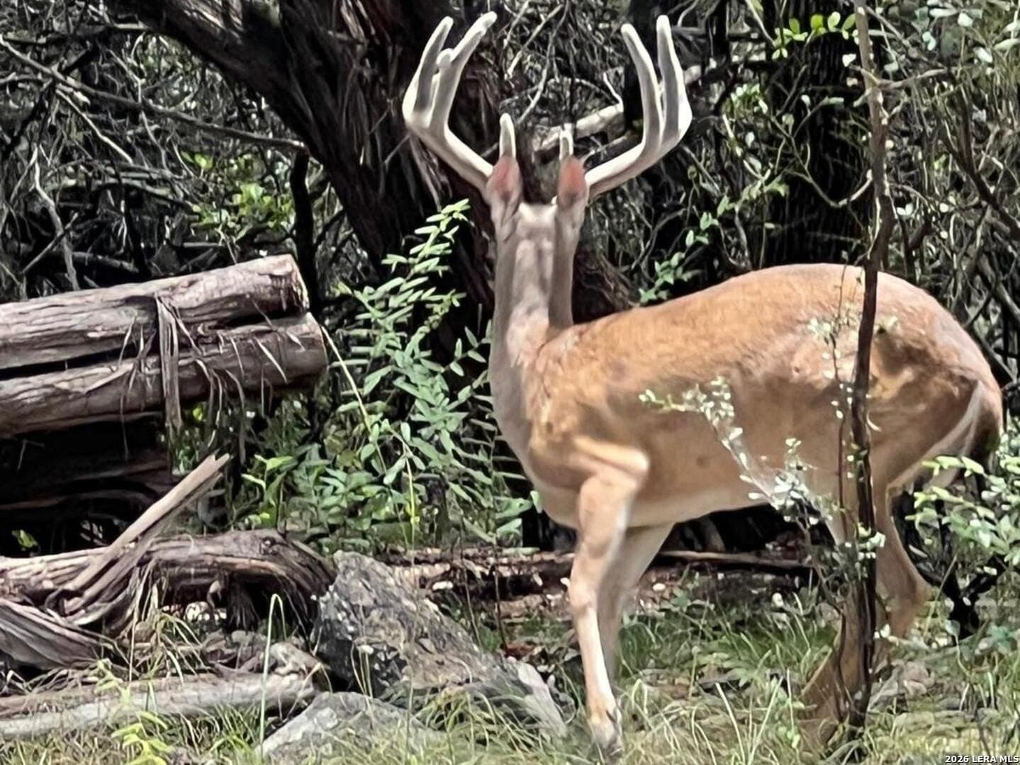 3.32 acres in Bandera County - photo 3