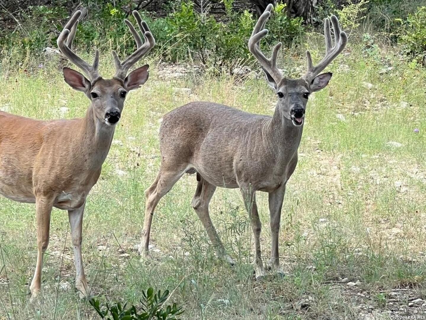 3.32 acres in Bandera County - photo 5