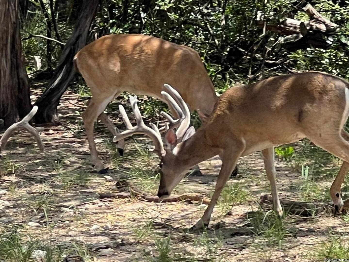 3.32 acres in Bandera County - photo 18