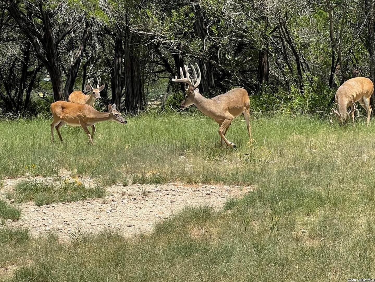 3.32 acres in Bandera County - photo 6
