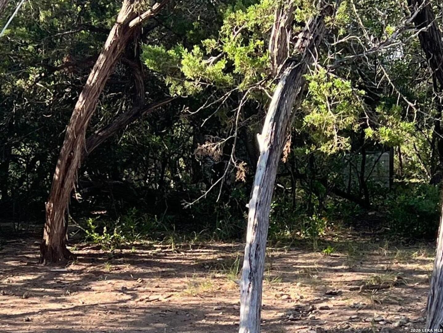 3.32 acres in Bandera County - photo 31