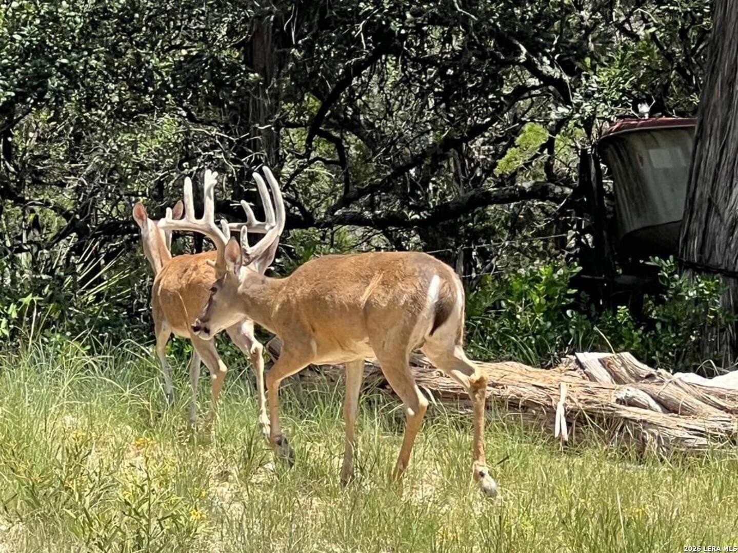 3.32 acres in Bandera County - photo 29