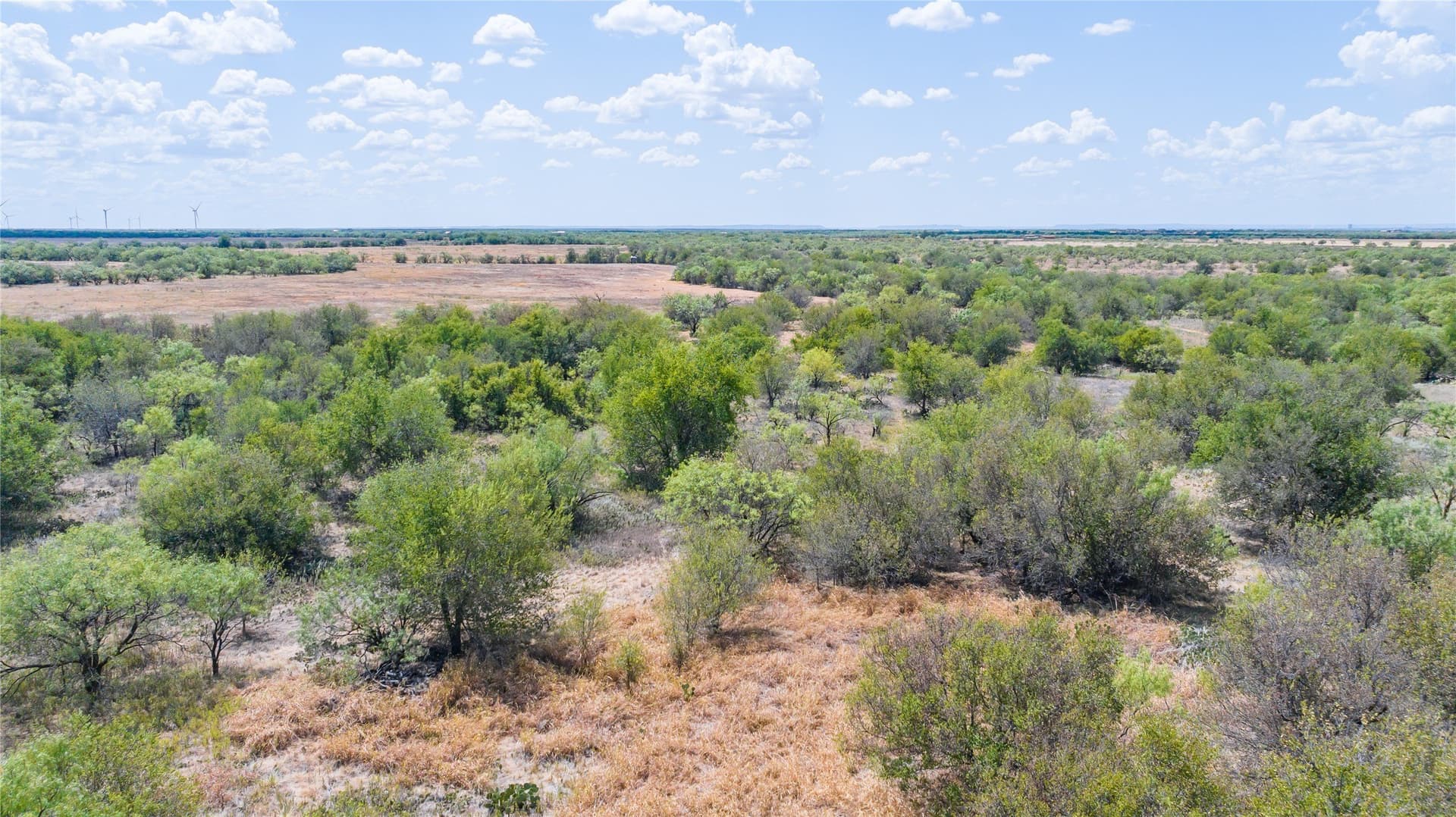 84.1 acres in Shackelford County - photo 8