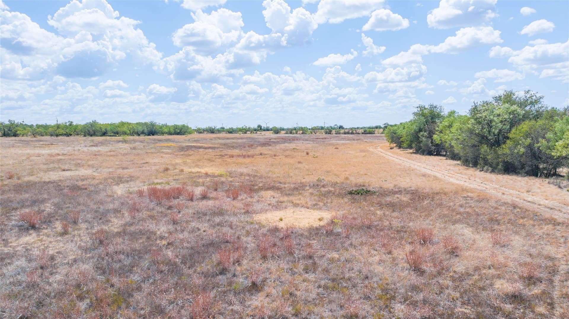 84.1 acres in Shackelford County - photo 28